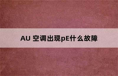 AU 空调出现pE什么故障